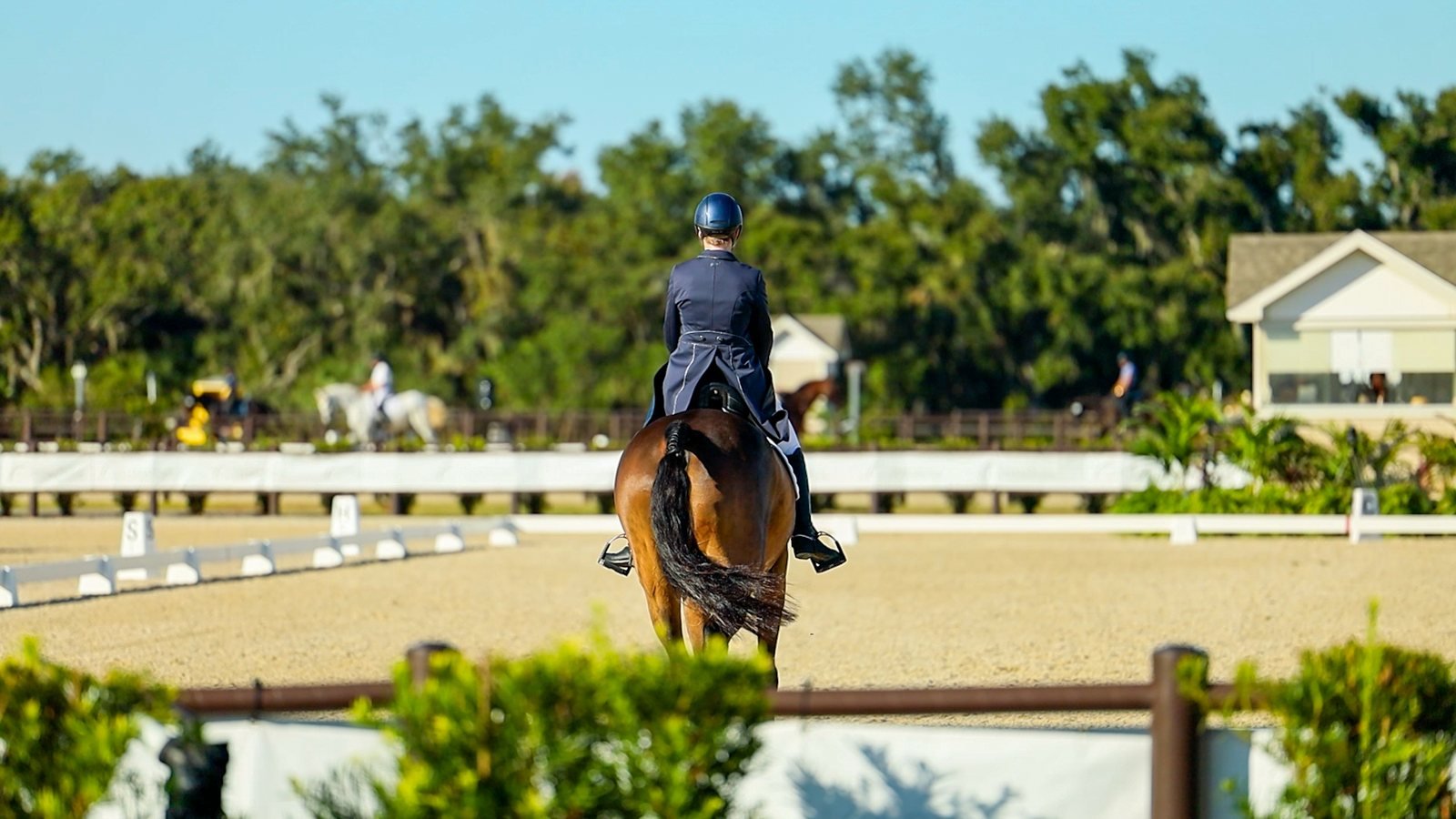 Dressage ring at a show